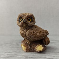 1695739761587.jpg STL file Chouette sur branche - Owl on branch・3D printer design to download
