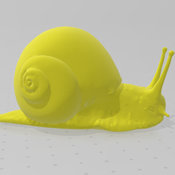 caracol1.png snail