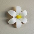 3.jpg Free STL file Flower-shaped Push pin #1・3D print model to download