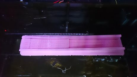 DSC_0246.JPG mini 扇子