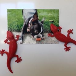 38202efb1b965e2bba2bc54393f02e50_display_large.JPG Free STL file Gecko Fridge Magnet・3D printable object to download