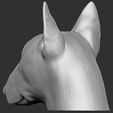 10.jpg Bull Terrier dog for 3D printing