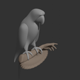 Parrot2.png Papagaio
