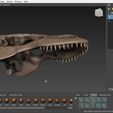 komodo-dragon-skeleton-3d-model-obj-fbx-stl-11.jpg Komodo Dragon Skeleton 3D printable Model