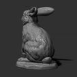 10.jpg Rabbit sitting