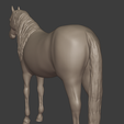 HorseBackMatCap.png Fichier 3D Cheval andalou・Modèle à imprimer en 3D à télécharger