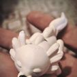 IMG_20251101_201639.jpg Baby Axolotl Flexibler Schlüsselanhänger