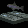 Am-bait-trout-breaking-16cm-5mm-oci-13mm-nalev-13.png AM bait fish rainbow trout 16cm breaking model / form for predator fishing
