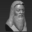 10.jpg Dumbledore from Harry Potter bust for full color 3D printing