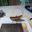 Wall-E Roach