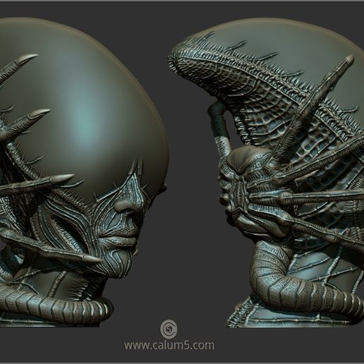 www.calum5.com Archivo STL 2 modelos Giger Alien Style・Objeto para impresora 3D para descargar, calum5dotcom