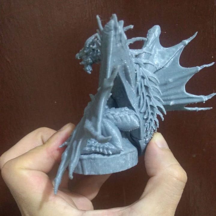 40.jpg Файл 3D Wyvern Dragon・Шаблон для загрузки и 3D-печати, GDestiny