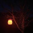 Lantern-in-tree.jpg Lamp system 4 in 1 #RAITO