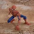 IMG_20230516_145551_718.jpg Spider-Man: Friend or Foe Complete Action Figure