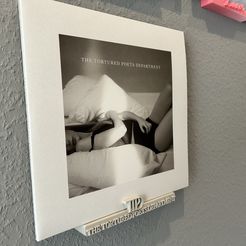IMG_2937.jpg Taylor Swift TIPD vinyl wall mount/record wall mount
