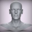 300.13.jpg 11 Male Head Sculpt 01 3D model Low-poly 3D model