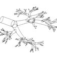 Bronchial tree anatomy-1mm-shell-02.JPG Bronchial tree 3d printing model