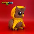 IMG_8047.jpeg FANTASTICRAFT3D - Mystic Owl flexi- Fantasy, Mystical, Wizard, D&D