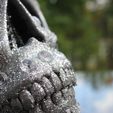 IMG_4830.JPG Skull with diamonds