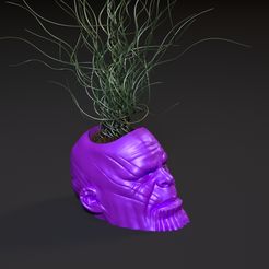 10006.jpg Fichier 3D Jardinières Thanos・Modèle pour imprimante 3D à télécharger