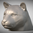 Zrzut-ekranu-2025-06-14-100406.png Голова леопарда для 3D-печати