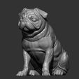 pug-for-3d-printing-3d-model-180dbd8bfc.jpg Pug for 3D printing