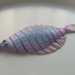 KakaoTalk_20220506_205025615_02.jpg STL file Articulated Flatfish・3D print object to download