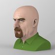 walter-white-breaking-bad-bust-ready-for-full-color-3d-printing-3d-model-obj-stl-wrl-wrz-mtl (3).jpg Walter White Breaking Bad bust ready for full color 3D printing