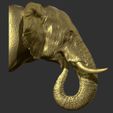 44.jpg Elephant head