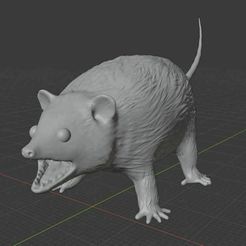 angory.jpg Download free STL file Hissing Opossum • Model to 3D print, NotOnLand