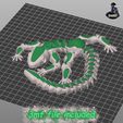 IMG_460541.jpg Funny Lizard Gecko - Articulated - Print in Place - No Supports - Flexi