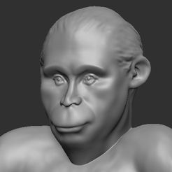 putin-moke.jpg Download free STL file Putin Monkey - Vladimir Puchimp • 3D printing design, Kitoimpresion3d