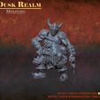 SK Presupported MINIATURES Dusk REALM Rc cedt em p Thee * Cl DUSWREALM Scions of the Elite