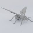 07.jpg Winged Ant
