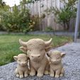 d6b0d056-ed82-4911-86aa-83ca2b9d6fdd.jpg Highland Herd – 6-Design Bundle