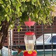 1d2d723c-0269-46ed-be26-adc861eea28a.jpg Hummingbird feeders Ant trap