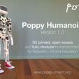 poppy-humanoid-github.jpg Propeller for Poppy Humanoid