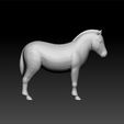 pony2.jpg Pony horse- Pony horse 3d model