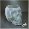 Skull-Vase_1.jpg Free STL file Skull Vase / Bowl・3D printing idea to download