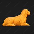 1069-Basset_Griffon_Vendeen_Petit_Pose_08.jpg Basset Griffon Vendeen Petit Dog 3D Print Model Pose 08