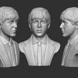 16.jpg Paul McCartney 3D print model