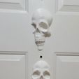 Skulls.jpg Skull Wall Decor