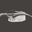 jp3spinosaurusstatue9.jpg JP3 ESPINOSSAURO FIGURA ESTÁTUA MODELO DINOSSAURO VIDA SELVAGEM
