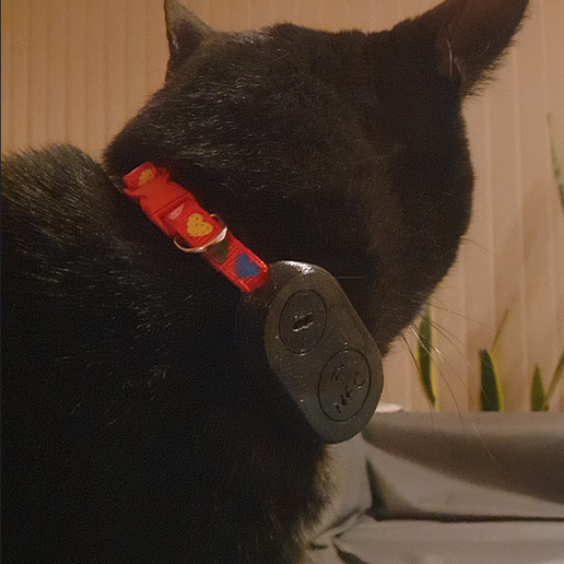 Foto-gato.png Etui Samsung SmartTag2 - Funda protectora para llaves, mascotas y gatos / SmartTag2 Cat & Pet Case