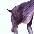 IIJJJ.jpg DOWNLOAD Brachiosaurus 3D MODEL ANIMATED - BLENDER - 3DS MAX - CINEMA 4D - FBX - MAYA - UNITY - UNREAL - OBJ -  Animals & creatures Fan Art DINOSAUR PREHISTORIC Saurisquios Camarasaurio Nigersaurus Titanosaurus Antarctosaurus Antarctosaurus  Shunosaurus