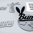 BUNNY-COVER.png Segno del coniglietto BUNNY