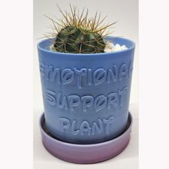 WhatsApp-Image-2023-09-28-at-19.40.40-2.jpg Punny Planter 01 - Emotional Support Plant