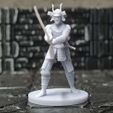 4e4d2cce-ca56-4b19-8852-917417776ae5.jpg Samurai minis