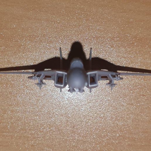 The F-14 Tomcat U.S. Navy Fighter Has A Message for Any Military On Earth - National Security