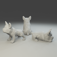 5.png Low polygon French Bulldog 3D print model  in three poses